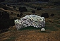 Limestone Rock
